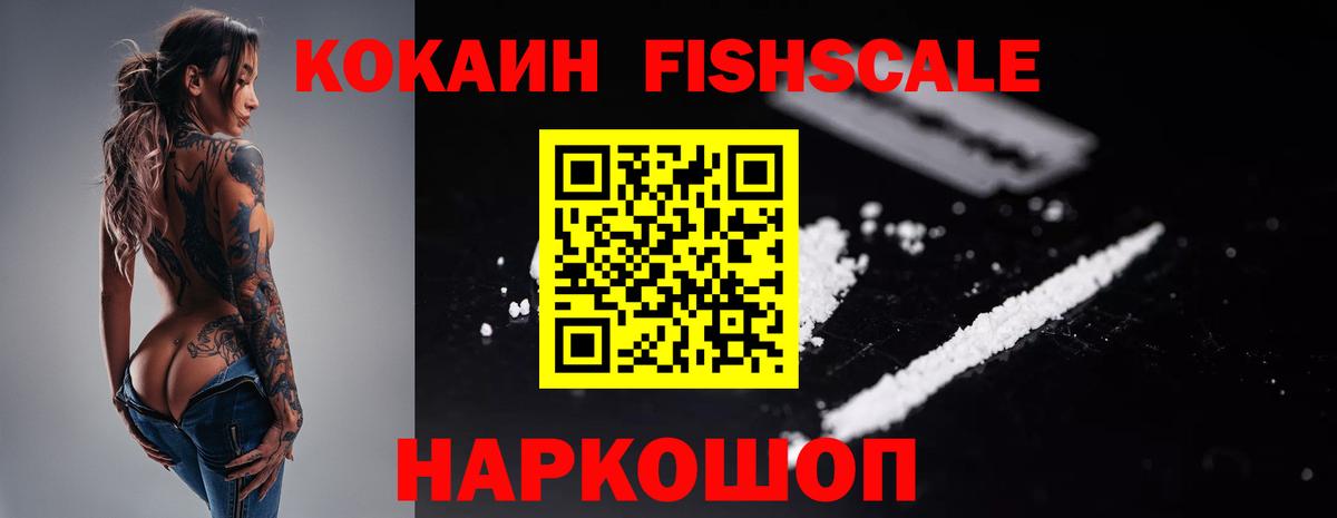 Елизово  Кокаин  Вход с VPN  Cocaine Fish Scale  КОКАИН Эквадор 