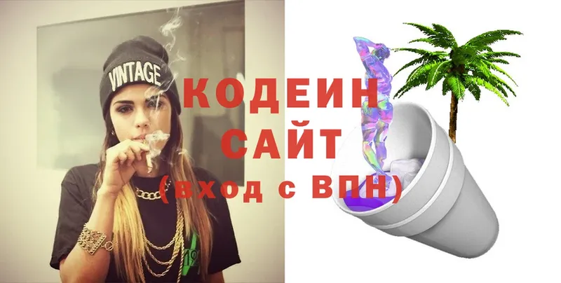 Кодеин Purple Drank  ссылка на мегу зеркало  это состав  Елизово 