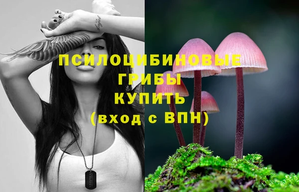 винт Дмитровск