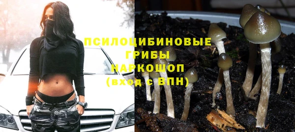 a pvp Дмитриев
