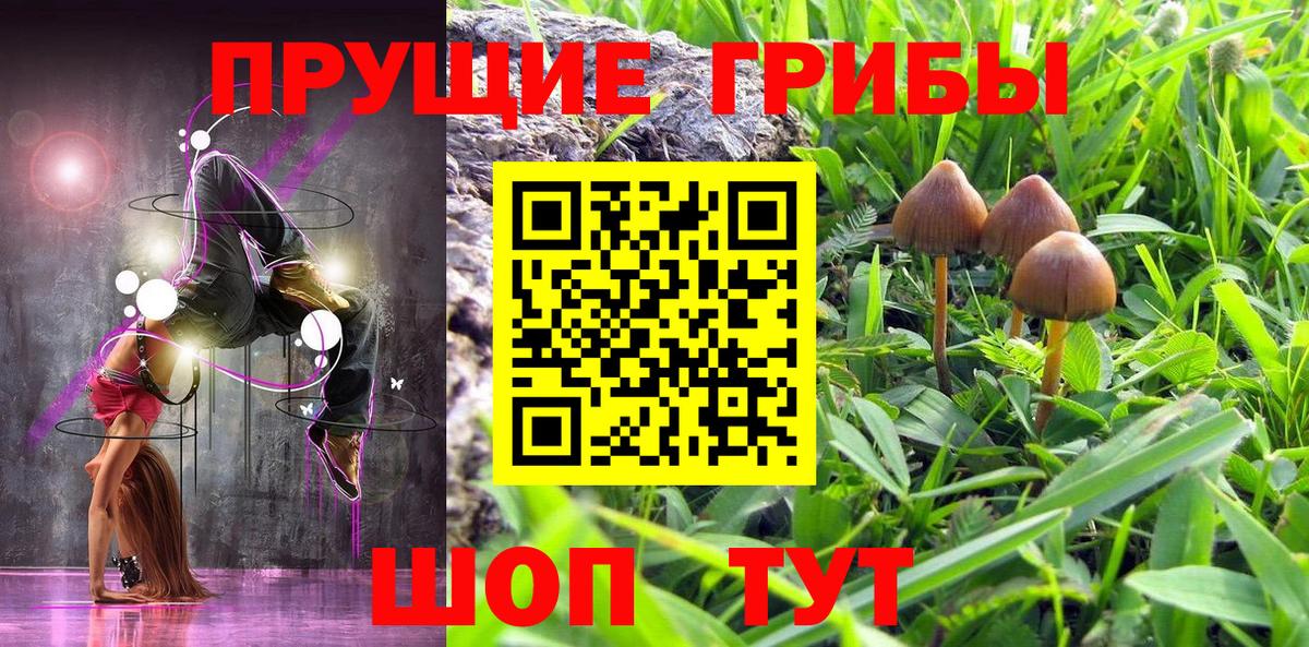 Галлюциногенные грибы прущие грибы Елизово