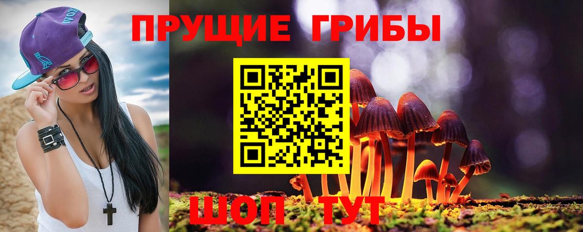 Псилоцибиновые грибы мухоморы  Вход с VPN  где купить наркоту  Елизово 