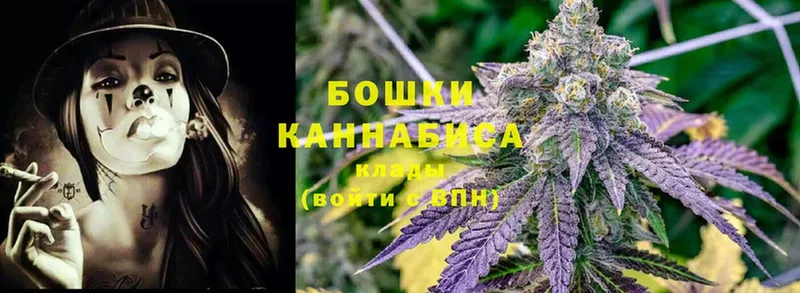 как найти наркотики  Елизово  Марихуана SATIVA & INDICA 